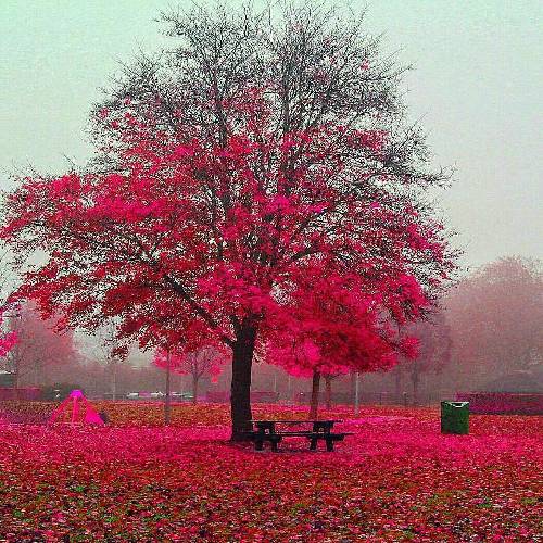 جان کیلیچ  چیکماز سوکاک